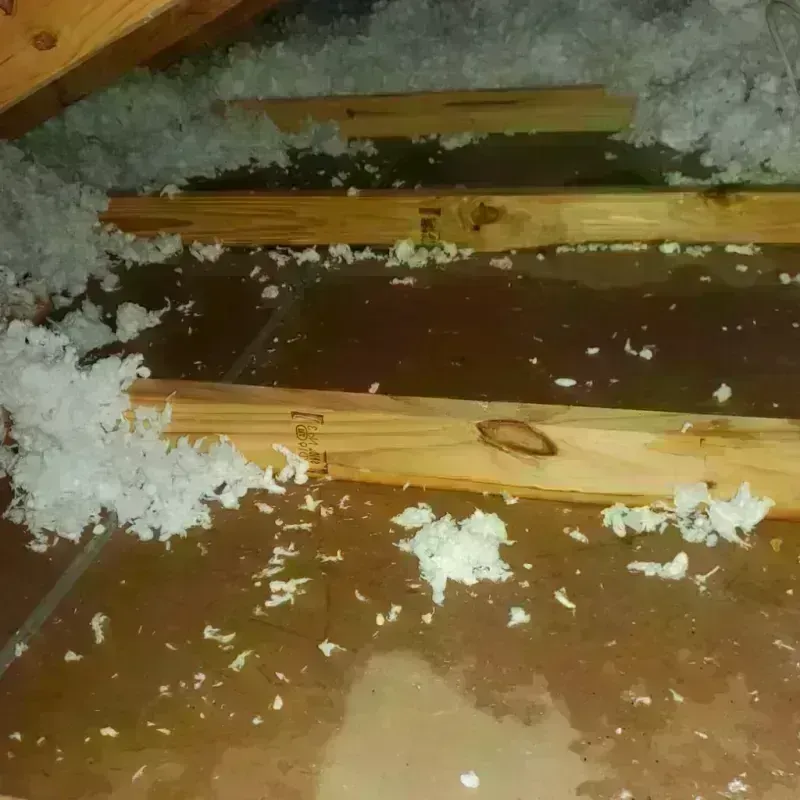 Attic Water Damage in Atchison, KS